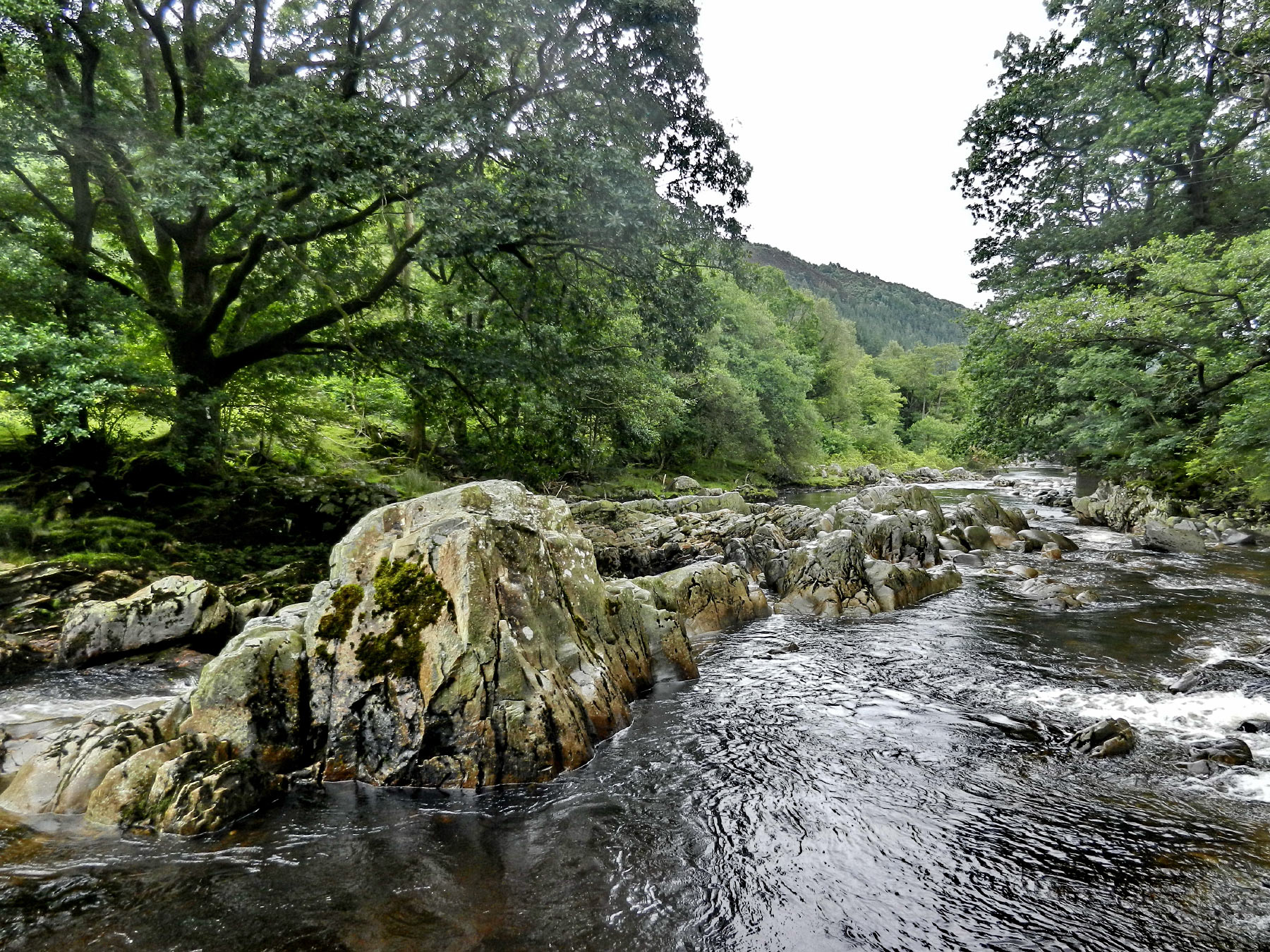 Ganllwyd, Llanelltyd